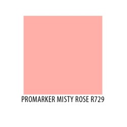 Promarker Misty Rose R729