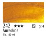 242 - Rembrandt Aureolina