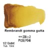 238 - Talens Rembrandt acquerello gomma gutta