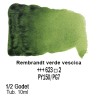 623 - Talens Rembrandt acquerello verde vescica