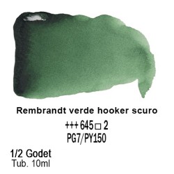 645 - Talens Rembrandt acquerello verde hooker scuro