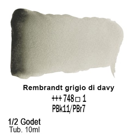 748 - Talens Rembrandt acquerello grigio di davy