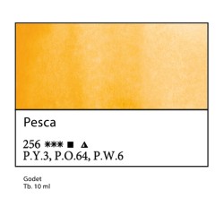 256 - White Nights Pesca