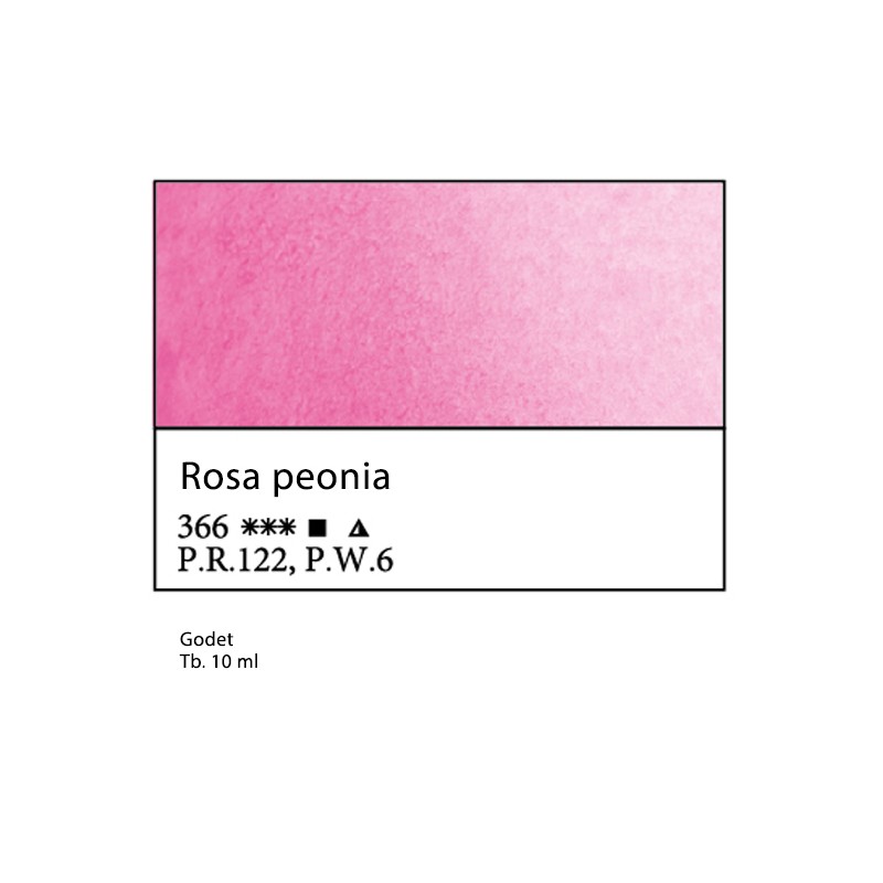 366 - White Nights Rosa peonia