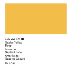 425 - Winsor & Newton Olio Artists Giallo Di Napoli Scuro