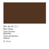 554 - Winsor & Newton Olio Artists Terra D'Ombra Naturale
