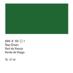 599 - Winsor & Newton Olio Artists Verde Vescica