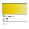 257 - White Nights Giallo irgazina