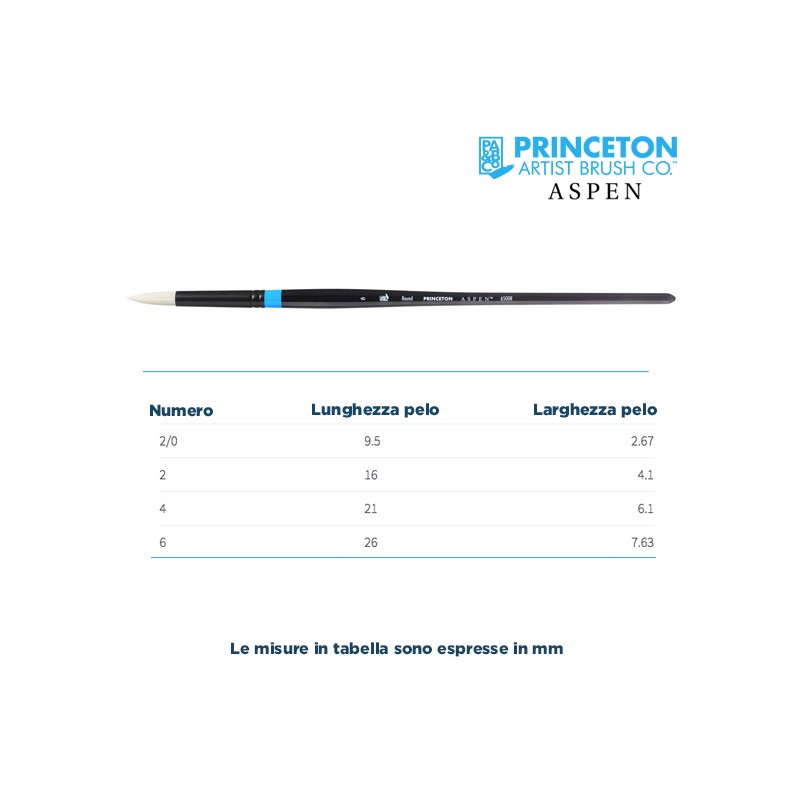 Princeton Aspen Serie n.P6500 pennello setola sintetica tondo, manico lungo