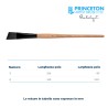 Princeton Catalyst Serie n.P6400 pennello setola sintetica Polytip angolare, manico lungo
