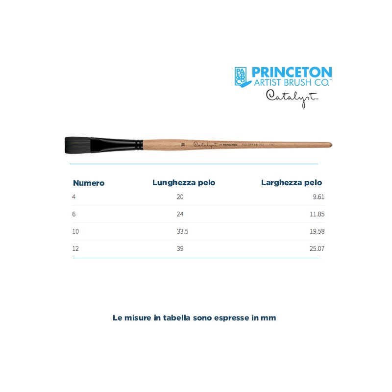 Princeton Catalyst Serie n.P6400 pennello setola sintetica Polytip piatto, manico lungo
