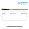 Princeton Catalyst Serie n.P6400 pennello setola sintetica Polytip piatto, manico lungo