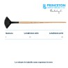 Princeton Catalyst Serie n.P6400 pennello setola sintetica Polytip ventaglio, manico lungo