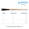 Princeton Catalyst Serie n.P6400 pennello setola sintetica Polytip piatto corto, manico lungo
