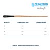 Princeton Catalyst Serie n.P6400 pennello setola sintetica Polytip lingua di gatto, manico lungo