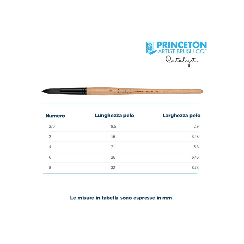 Princeton Catalyst Serie n.P6400 pennello setola sintetica Polytip tondo, manico lungo
